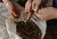 去渣